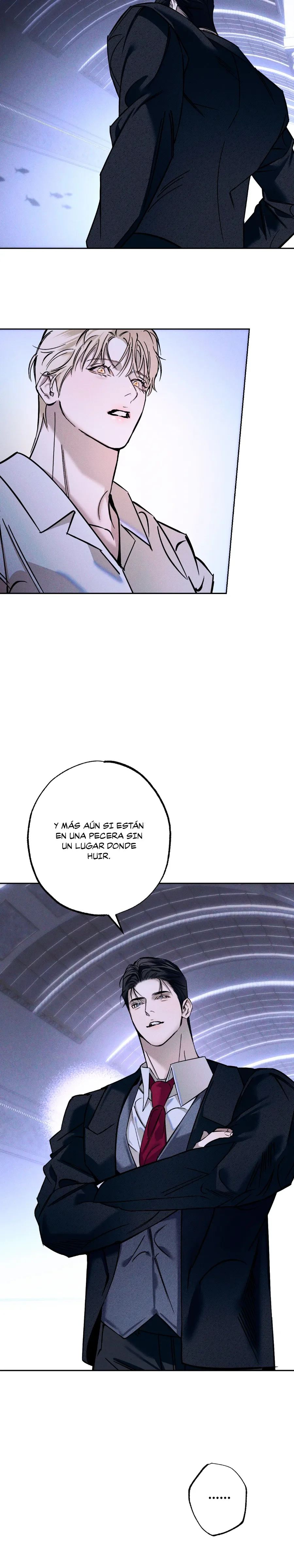 Pecera-5